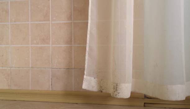Best Mold Remediation for Healthcare Facilities  in Glendale, AZ