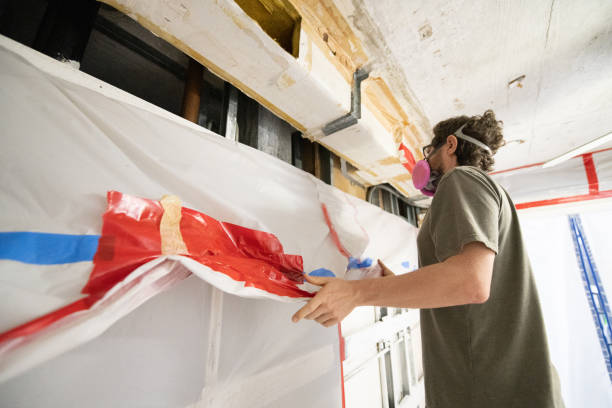 Best Basement Mold Removal  in Glendale, AZ