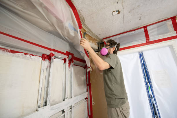 Best Comprehensive Air Testing for Mold Contaminants  in Glendale, AZ