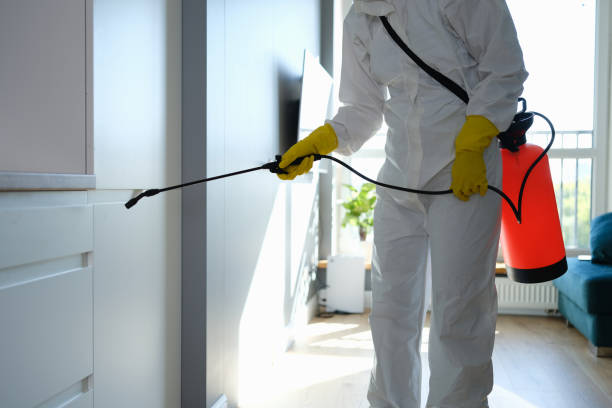 Environmental Consulting for Mold Prevention in Glendale, AZ