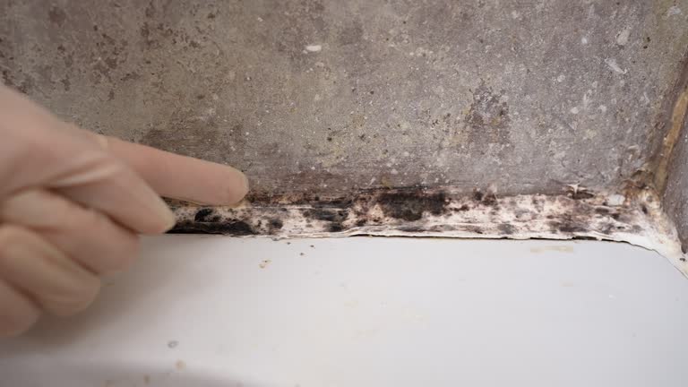 Best Airborne Mold Testing  in Glendale, AZ